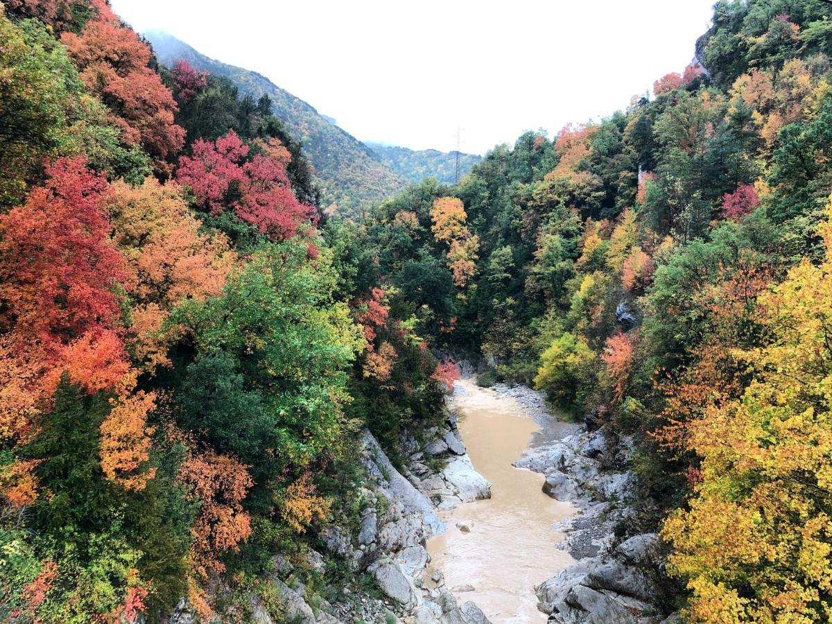 Masia Cap Del Roc Vallcebre المظهر الخارجي الصورة